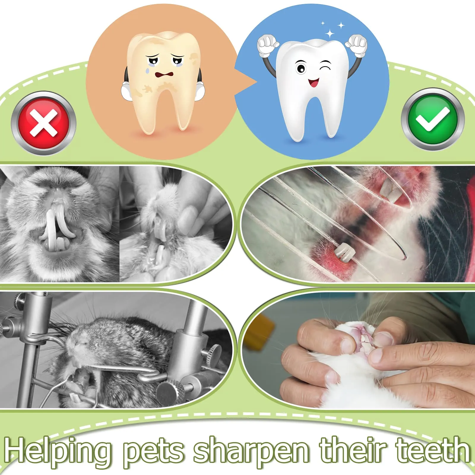 100g Natural Sweet Bamboo Chew Toys for Teeth,Rabbits Bamboo Sticks,Bunny Molar Treats Snack for Bunny Guinea Pig Chinchillas Guinea Pig Rabbits Hamster Gerbilsquirrel Rat Food (Sweet Bamboo)