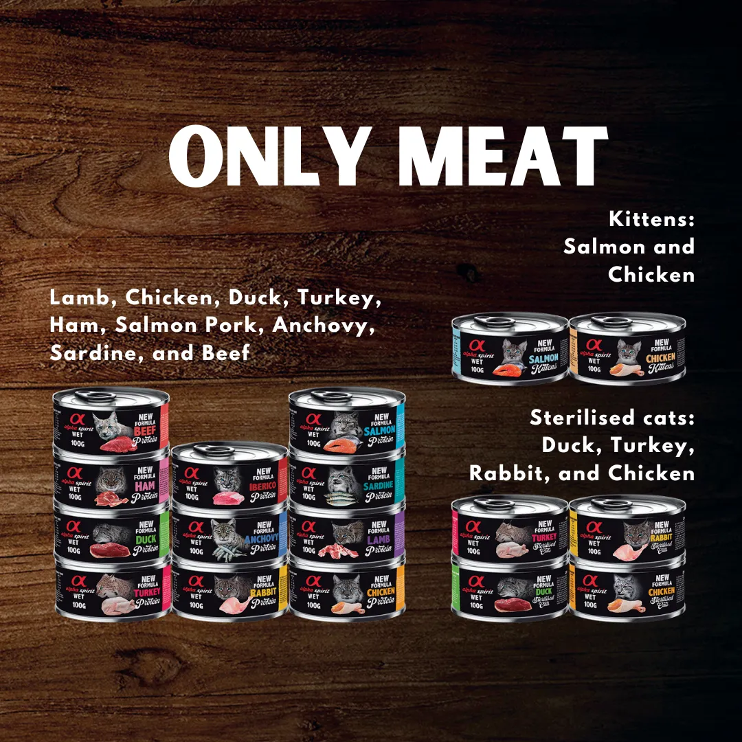 Alpha Spirit Chicken Wet Food for Kittens
