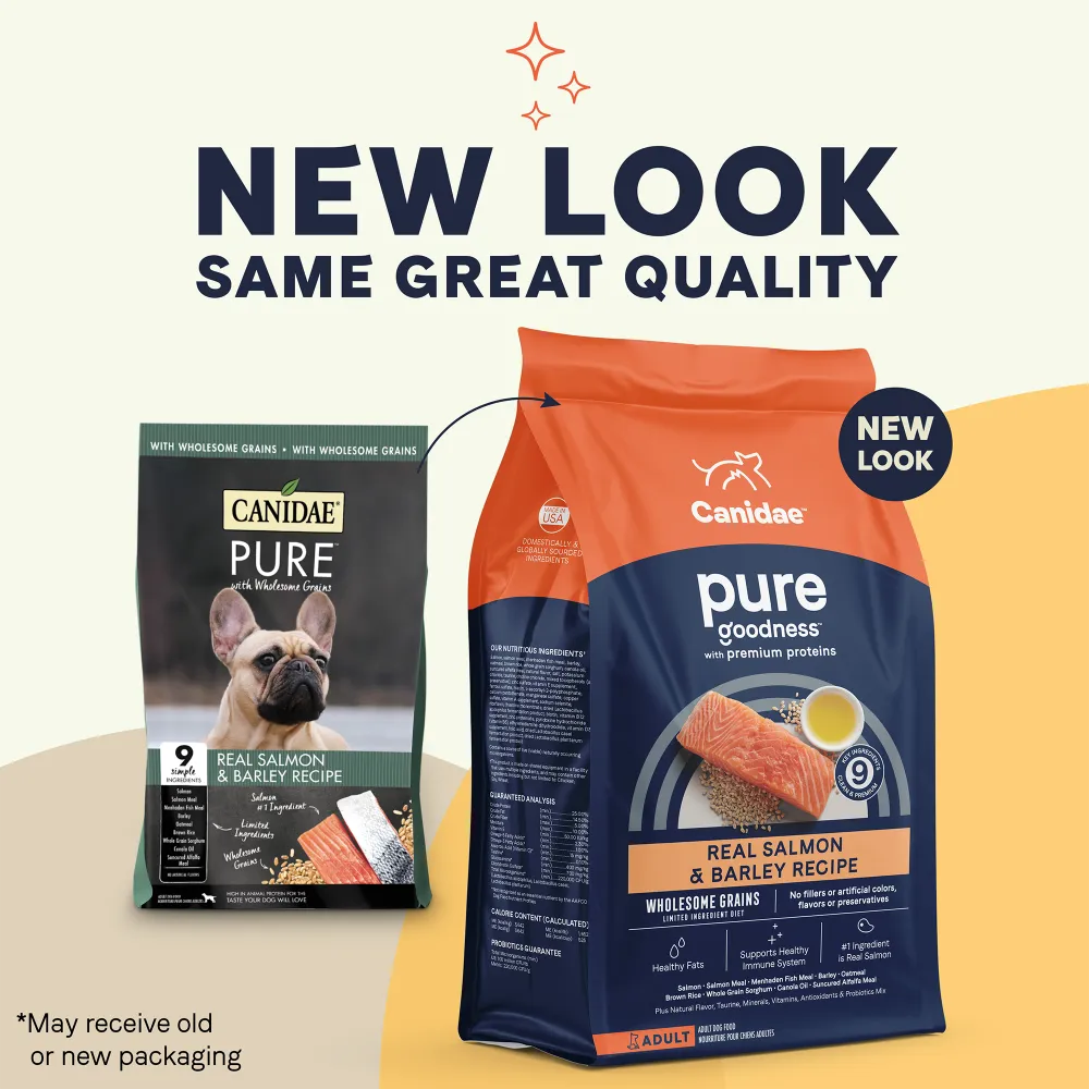 Canidae Pure Goodness Real Salmon & Barley Recipe Adult Dry Dog