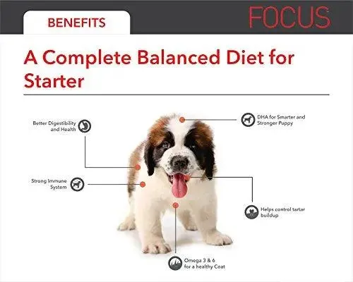Drools Focus Starter Super Premium Dog Food, 1.2kg