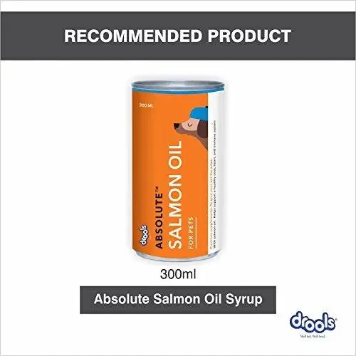 Drools Focus Starter Super Premium Dog Food, 1.2kg
