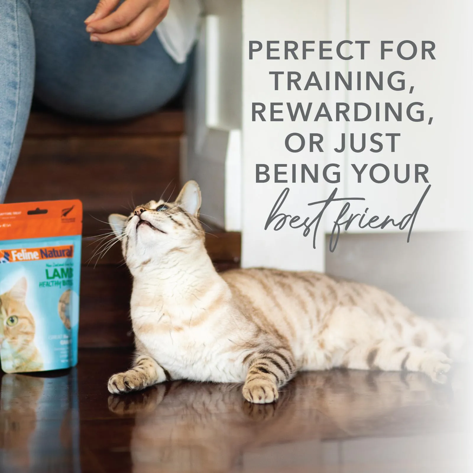 Feline Natural Lamb Healthy Bites Freeze Dried Cat Treats 50g