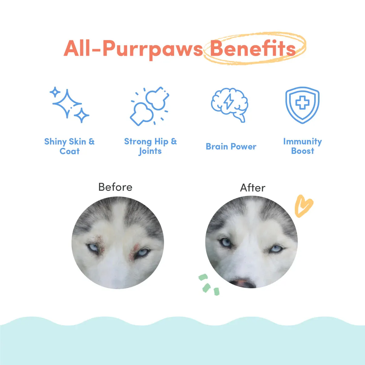 Floof Pets - Salmon Oil