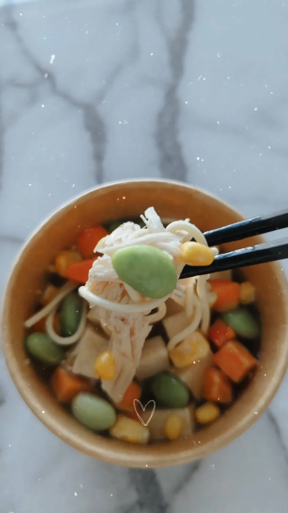 Freeze Dried Puppy Ramen
