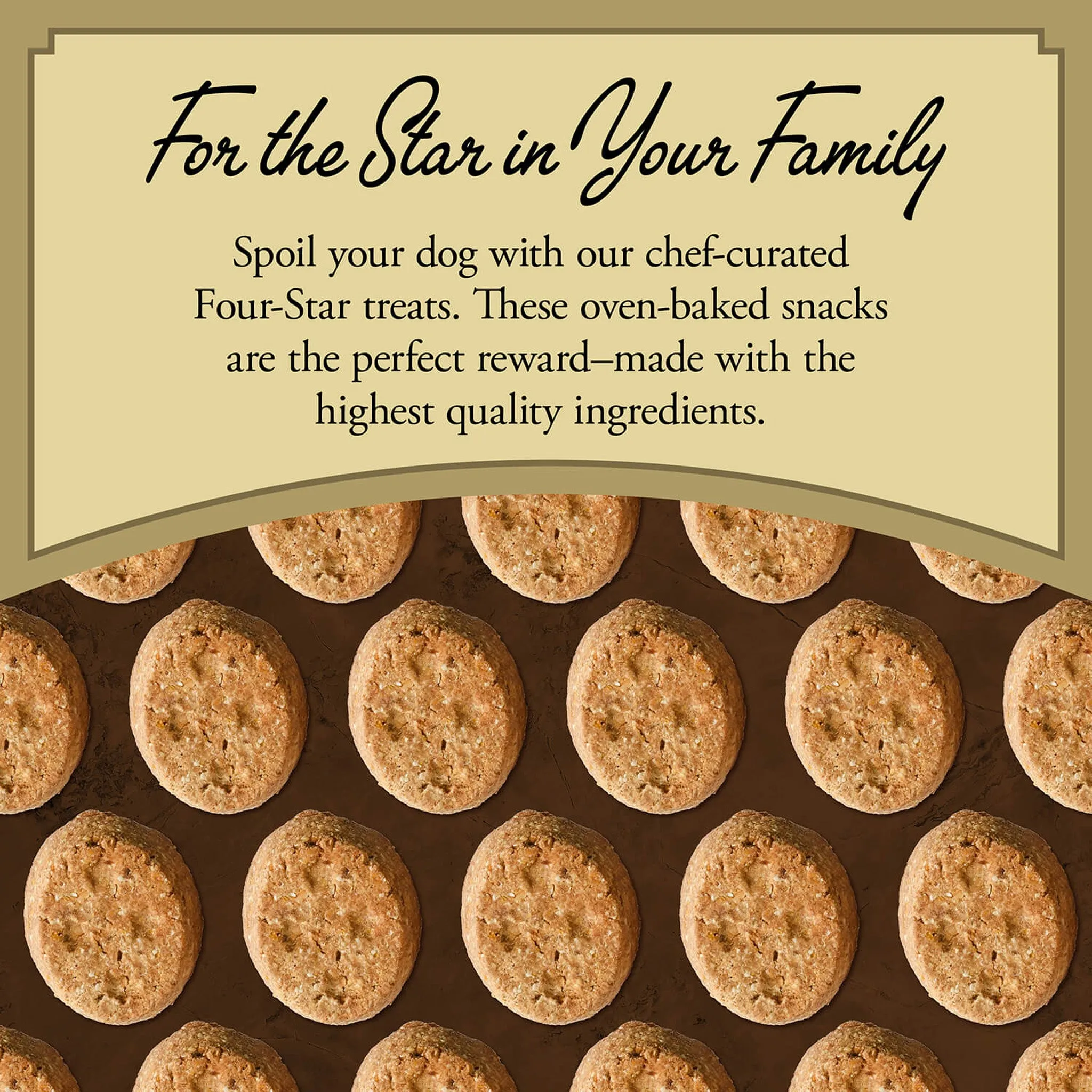 Fromm Four Star Grain Free Dog Treats