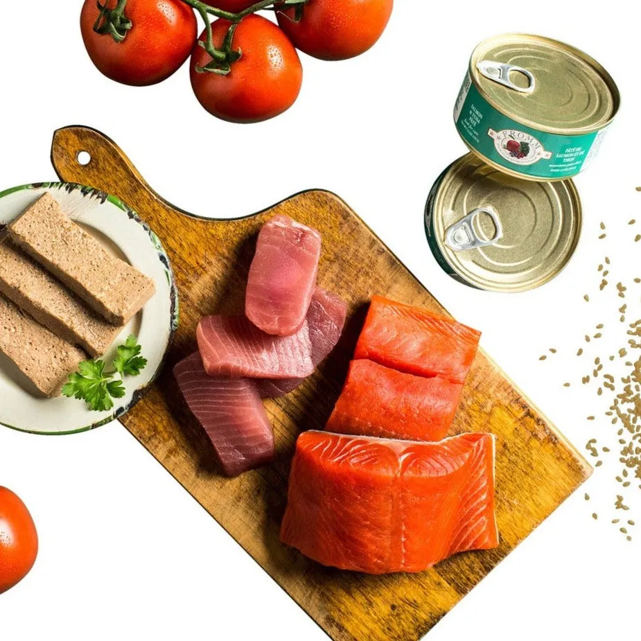 Fromm Four-Star Wet Cat Food Pâté