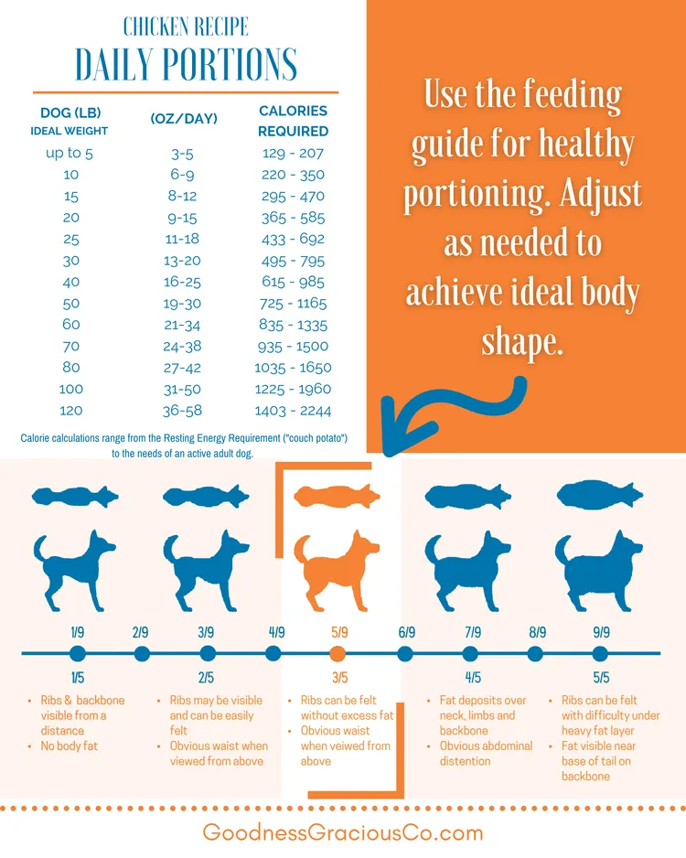 Goodness Gracious Human Grade Synthetic Free Chicken Recipe Gently Cooked Frozen Dog Food