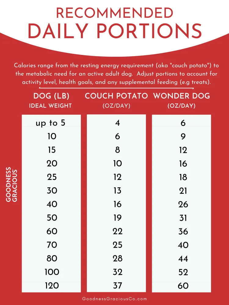 Goodness Gracious Human Grade Synthetic Free Chicken Recipe Gently Cooked Frozen Dog Food