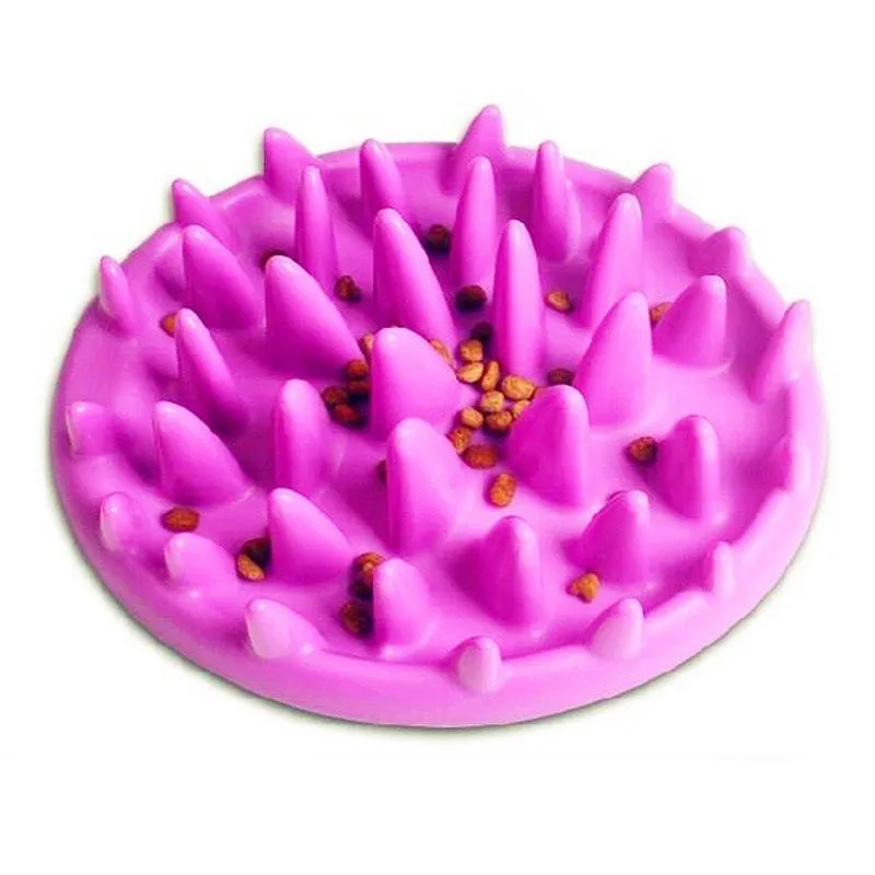Interactive Training Slow Feeding Dog's Bowl