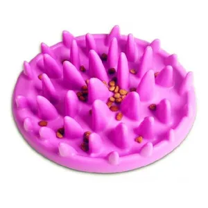 Interactive Training Slow Feeding Dog's Bowl