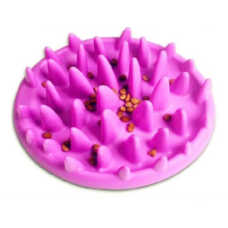 Interactive Training Slow Feeding Dog's Bowl
