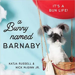 It's a Bun Life' - A Bunny Named Barnaby Book