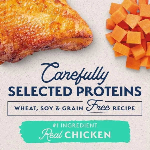 Natural Balance Limited Ingredient Chicken & Sweet Potato Recipe Dry Dog Food