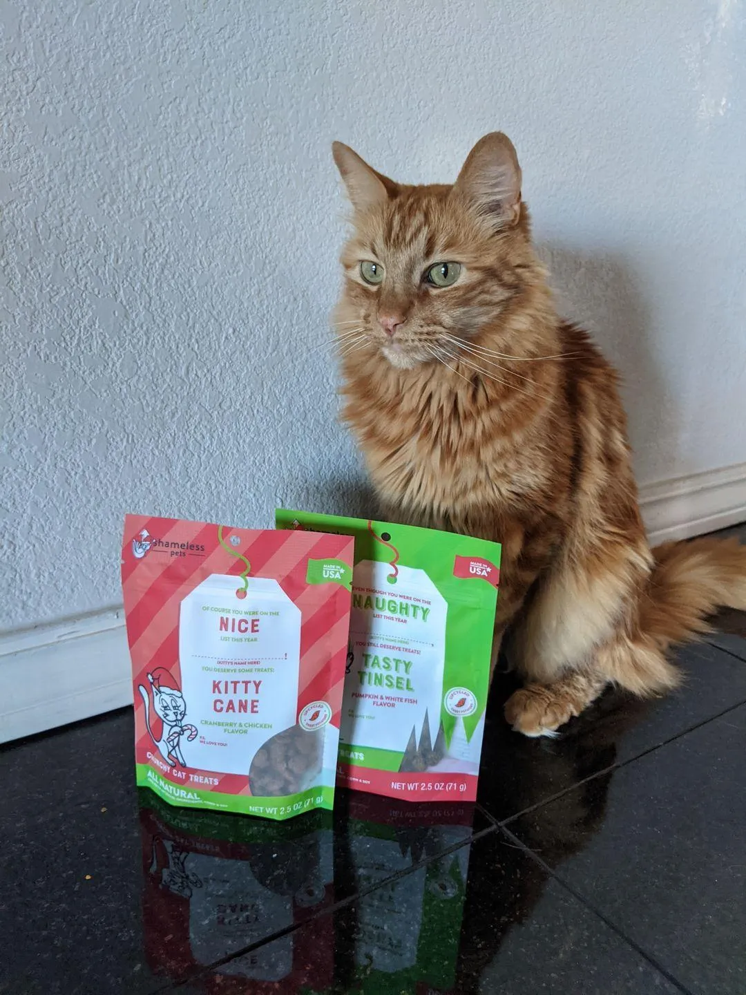 Naughty & Nice Bundle- Cat
