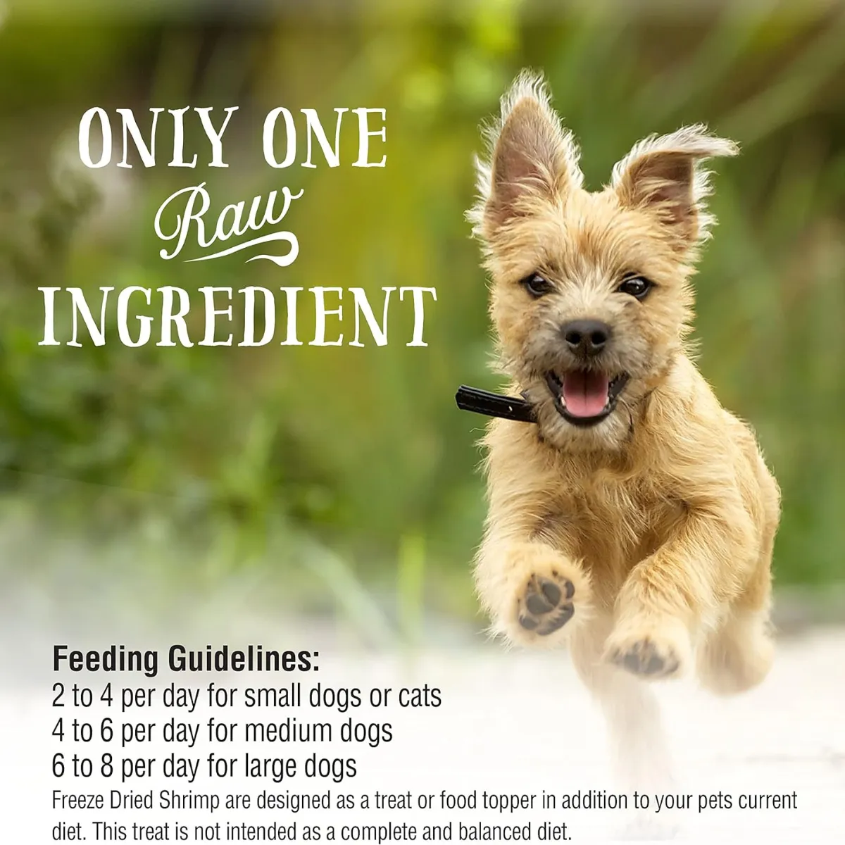 Northwest Naturals Raw Rewards Shrimp Dog & Cat Treats 1oz