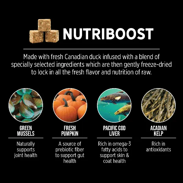 Nutrience SubZero Northern Lakes High Protein Dry Dog Food