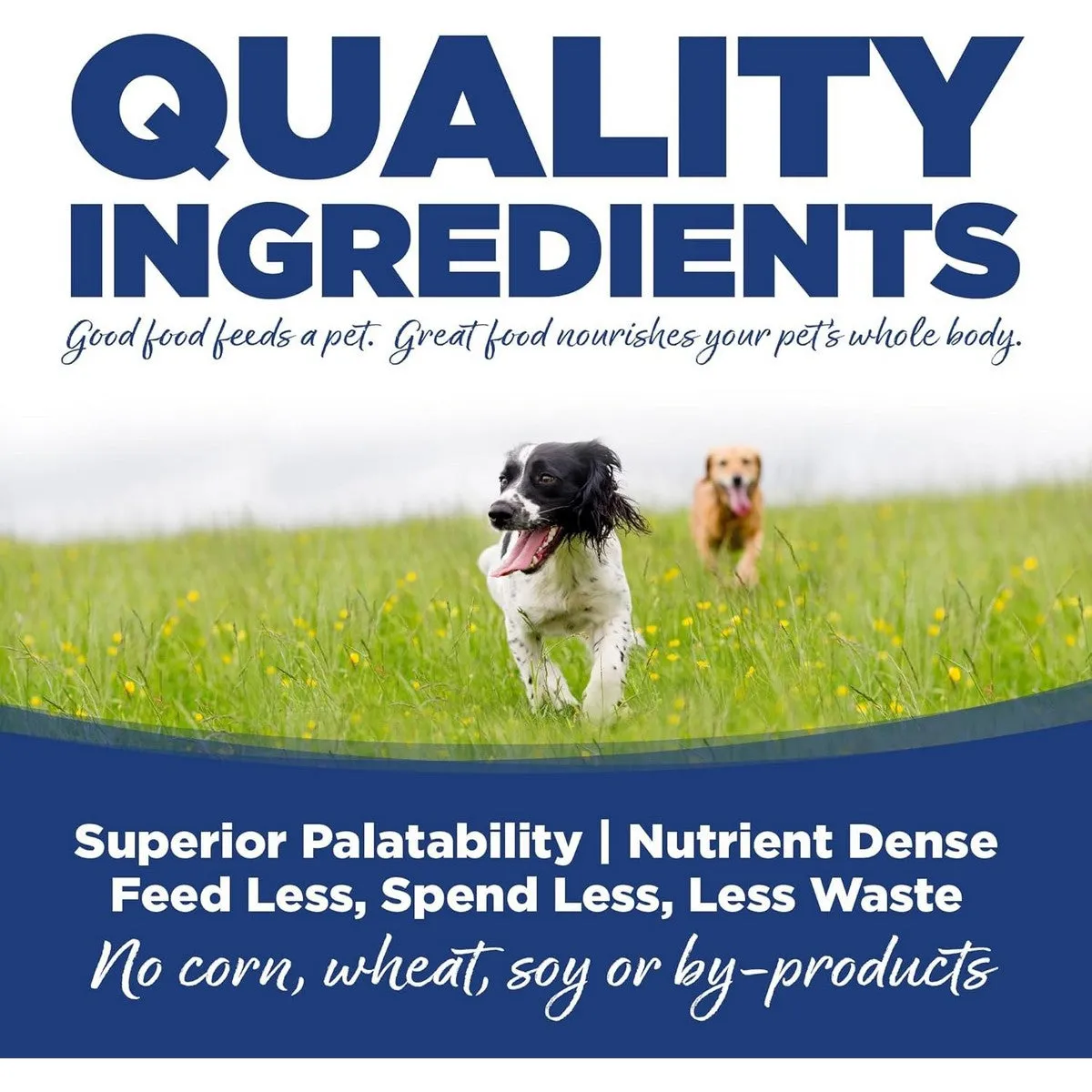 NutriSource Trout & Rice Healthy Dry Dog Food 12lb
