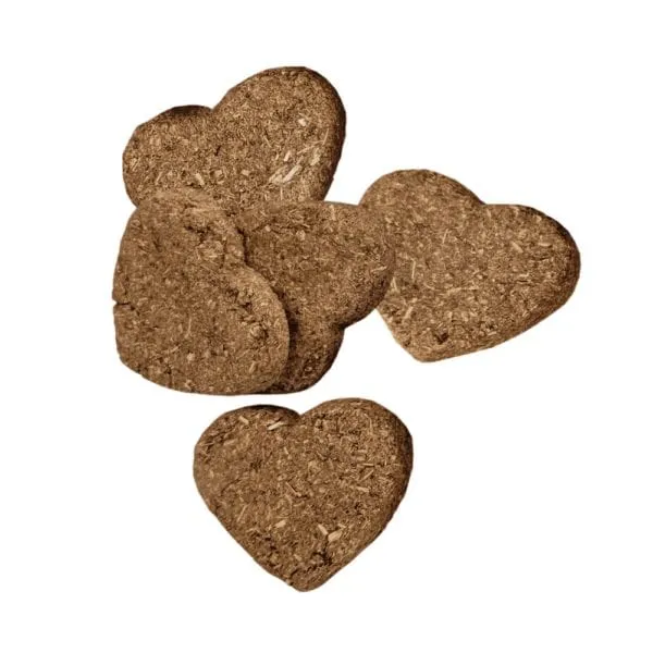Oxbow Simple Rewards Baked Treats with Carrot & Dill