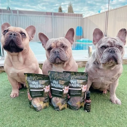 Pet Botanica Mackerel Dog and Cat Treats 80g