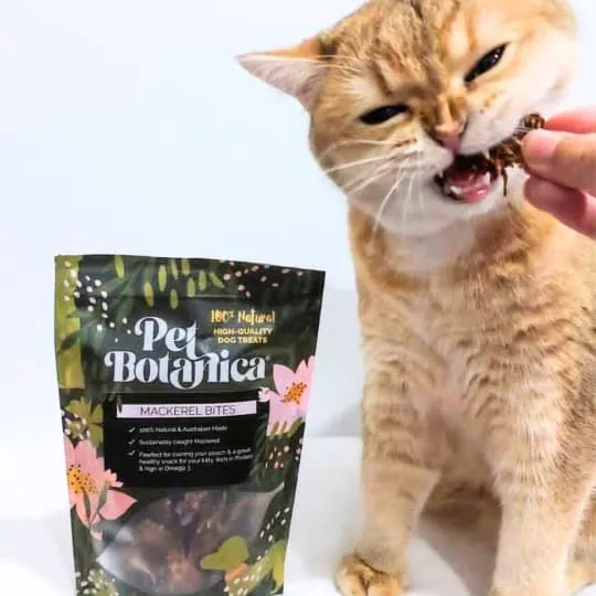 Pet Botanica Mackerel Dog and Cat Treats 80g