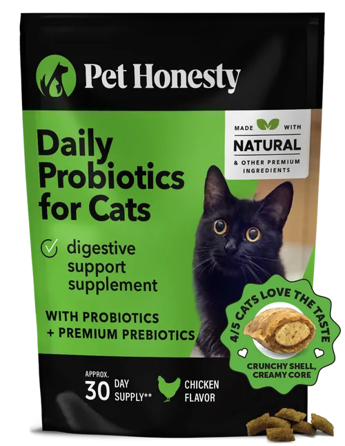 Pet Honesty Probiotics Gut   Immune Health for Cats
