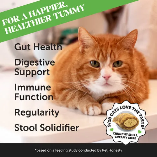 Pet Honesty Probiotics Gut   Immune Health for Cats