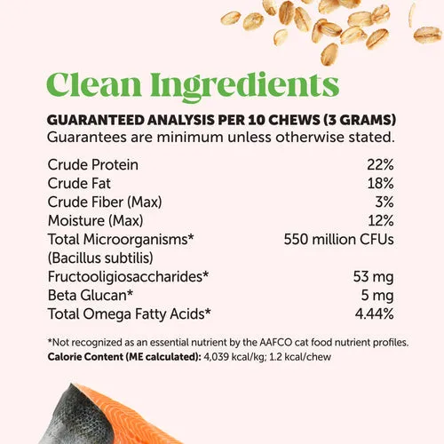 Pet Honesty Probiotics Gut   Immune Health for Cats
