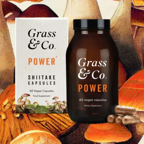 Shiitake Mushroom Supplement for Energy | POWER | 60 Capsules