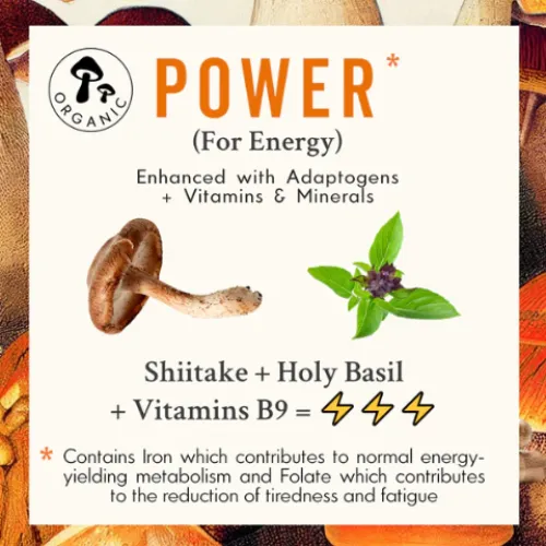 Shiitake Mushroom Supplement for Energy | POWER | 60 Capsules