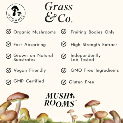 Shiitake Mushroom Supplement for Energy | POWER | 60 Capsules