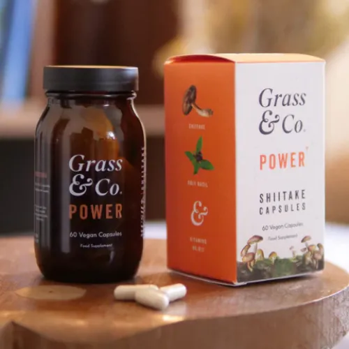 Shiitake Mushroom Supplement for Energy | POWER | 60 Capsules