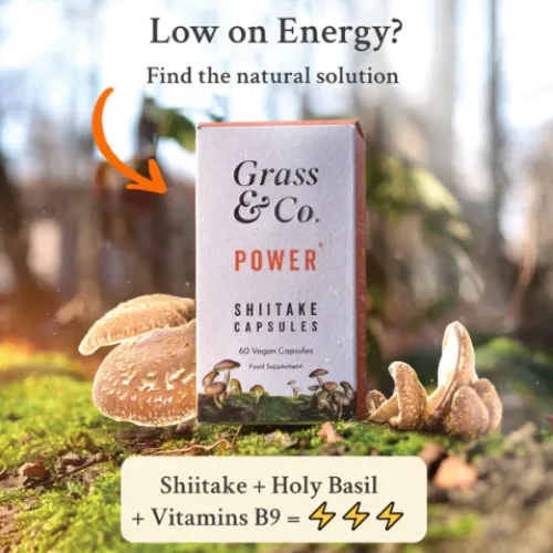 Shiitake Mushroom Supplement for Energy | POWER | 60 Capsules