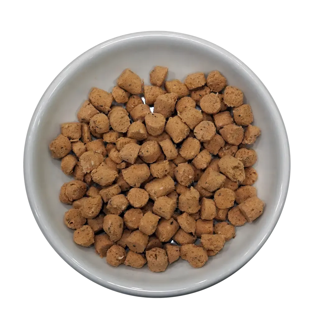 Steve's Real Food - Quest Chicken Recipe - Raw Cat Food - 2 lb (Local Delivery Only)
