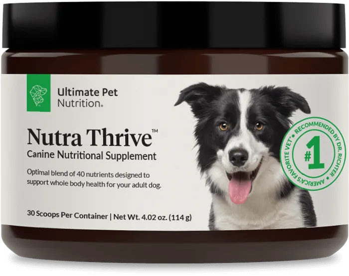 Ultimate Pet Nutrition Essentials Bundle!
